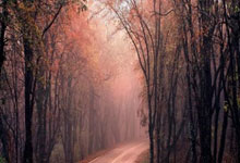 惨遭15分大逆转！周琦伤退北京末节崩盘，被浙江超级外援34+8射穿.：C7娱乐