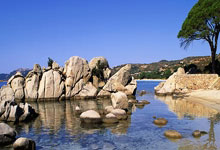 [CBA]拒绝逆转 广东主场胜天津.